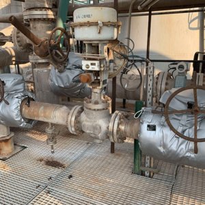 Valve Removable Insulation